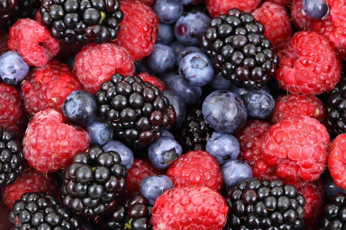benefits of berries for health