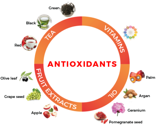 antioxidants sources